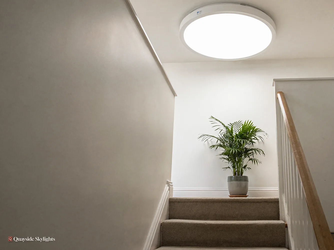 Stairwell with a round ceiling diffuser lighting a plant on the top step